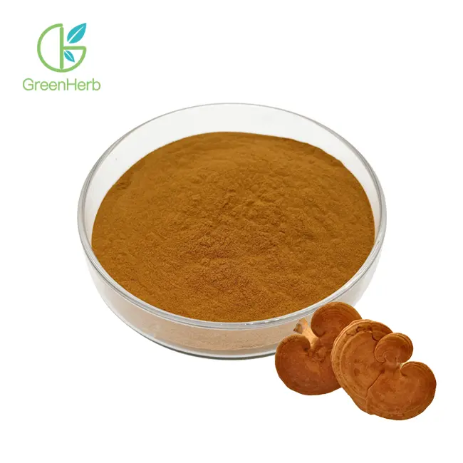 Reishi Mushroom Extract Powder